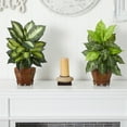 thumbnail image 5 of Nearly Natural 20.5" Dieffenbachia with Wood Vase Artificial Plant (Set of 2), Multicolor, 5 of 5