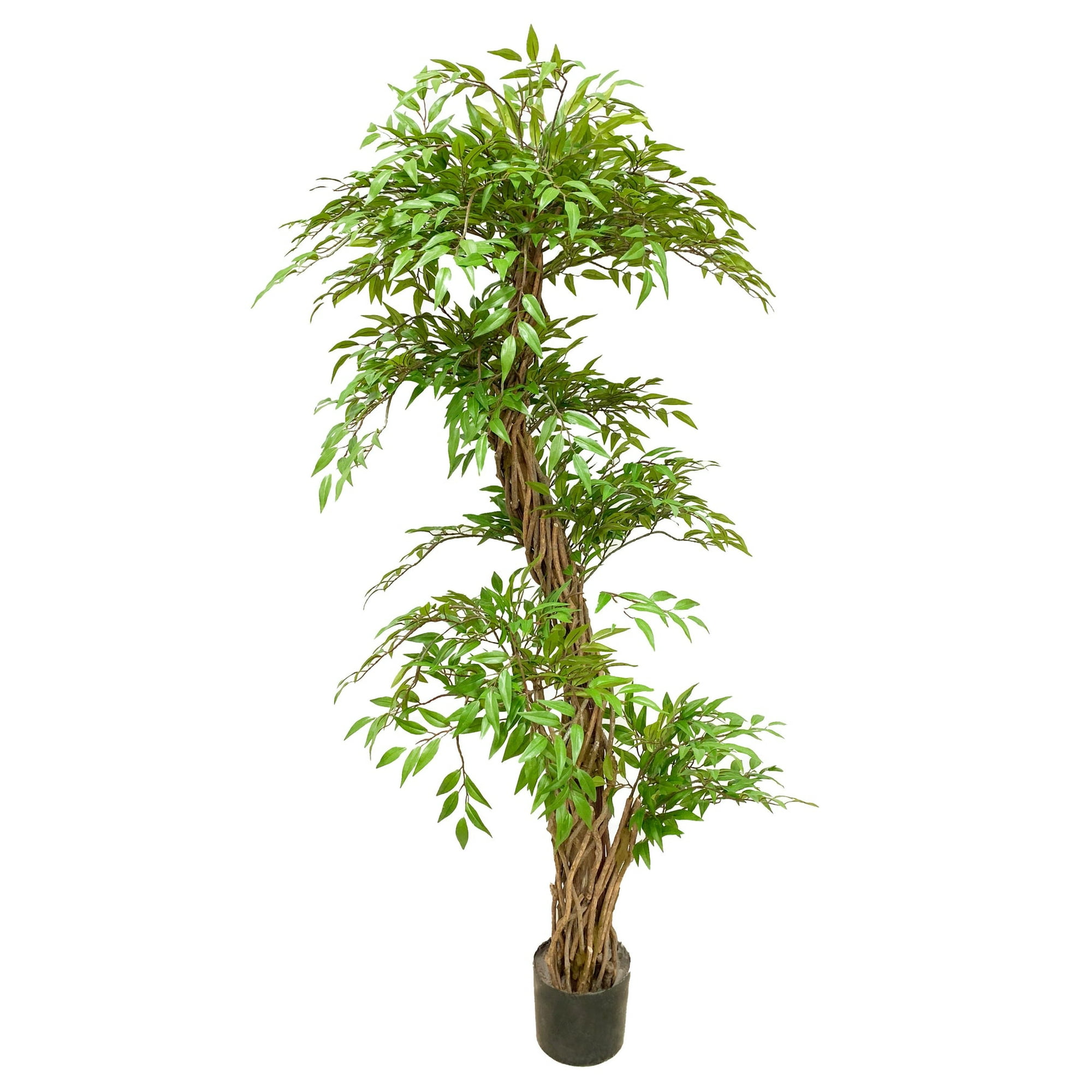 Planta Artificial Ficus Trenzado 160 Cms (Filtro Uv)