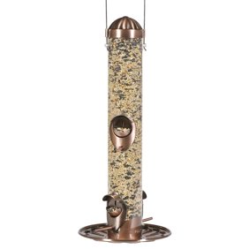 Perky Pet 2 Lb Squirrel Be Gone Wild Bird Feeder Walmart Com