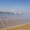 thumbnail image 3 of Flmtop Vegetable Greenhouse Anti-aging Plastic Cover Film, Agricultural Cultivation, 3 of 5