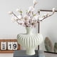 thumbnail image 5 of Botellas Decorativas De Plástico 1 Pieza 10.04x9.06x3.15" Jarrón plástico imitado vidriado en blanco para arreglos florales del salón, armario de televisión o decoración de flores secas JASKFLY, 5 of 8