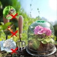 thumbnail image 5 of Kit de Mini Serre de Conservation Réutilisable pour Plantes 6 Pcs (26cm X 21cm), 5 of 5