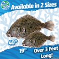 thumbnail image 2 of Real Planet 40" Brown Halibut Fish Realistic Stuffed Animal, Marine Sea Life Plush Toy & STEM Learning Gift for Birthday Boys & Girls, 2 of 7