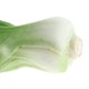 thumbnail image 4 of Vegetal Artificial para Cocina Comida Col China segundo BLESIY Verduras Artificiales Realistas, 4 of 7