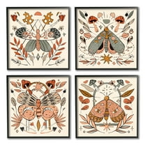 Stupell Industries Cottage Moths & Mushrooms Animals & Insects Painting Black Framed Art Print Wall Art, 12 x 12, Set of 4