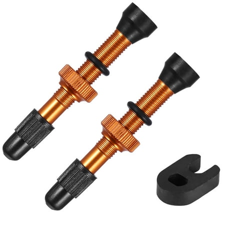tubeless bicycle valves