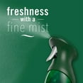 thumbnail image 5 of Febreze Air Freshener Winter Spruce, 2 Pack, Christmas Tree Pine Scent, Odor Eliminating Air Freshener Spray for Home and Bathroom, Limited Edition Holiday Collection, 8.8 oz Each, 5 of 8