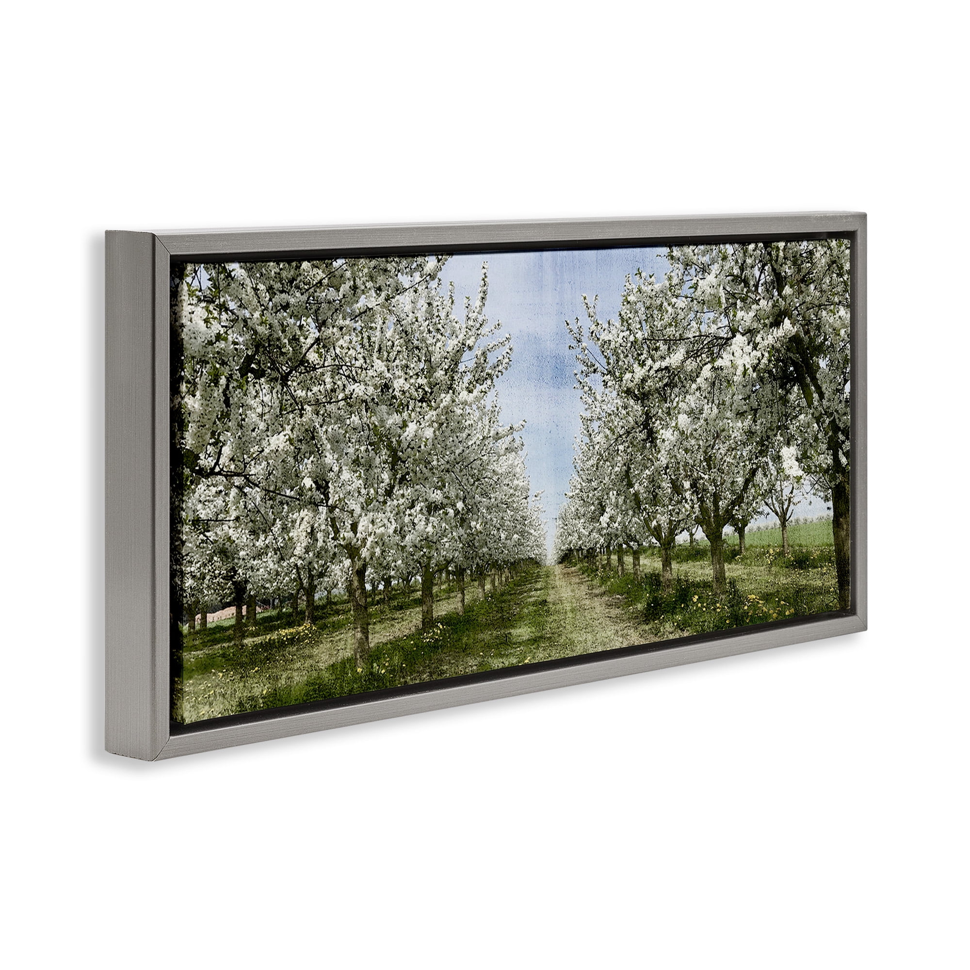 Stupell Industries Blooming White Tree Orchard Landscape Photography Gray Floater Framed Canvas Art Print Wall Art, 31 x 14