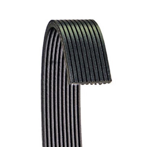 Dayco 6100672 Serpentine Belt