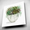 thumbnail image 4 of Epic Art 'White Wood Succulent III' by Cindy Jacobs, Acrylic Glass Wall Art, 12"x12", 4 of 8