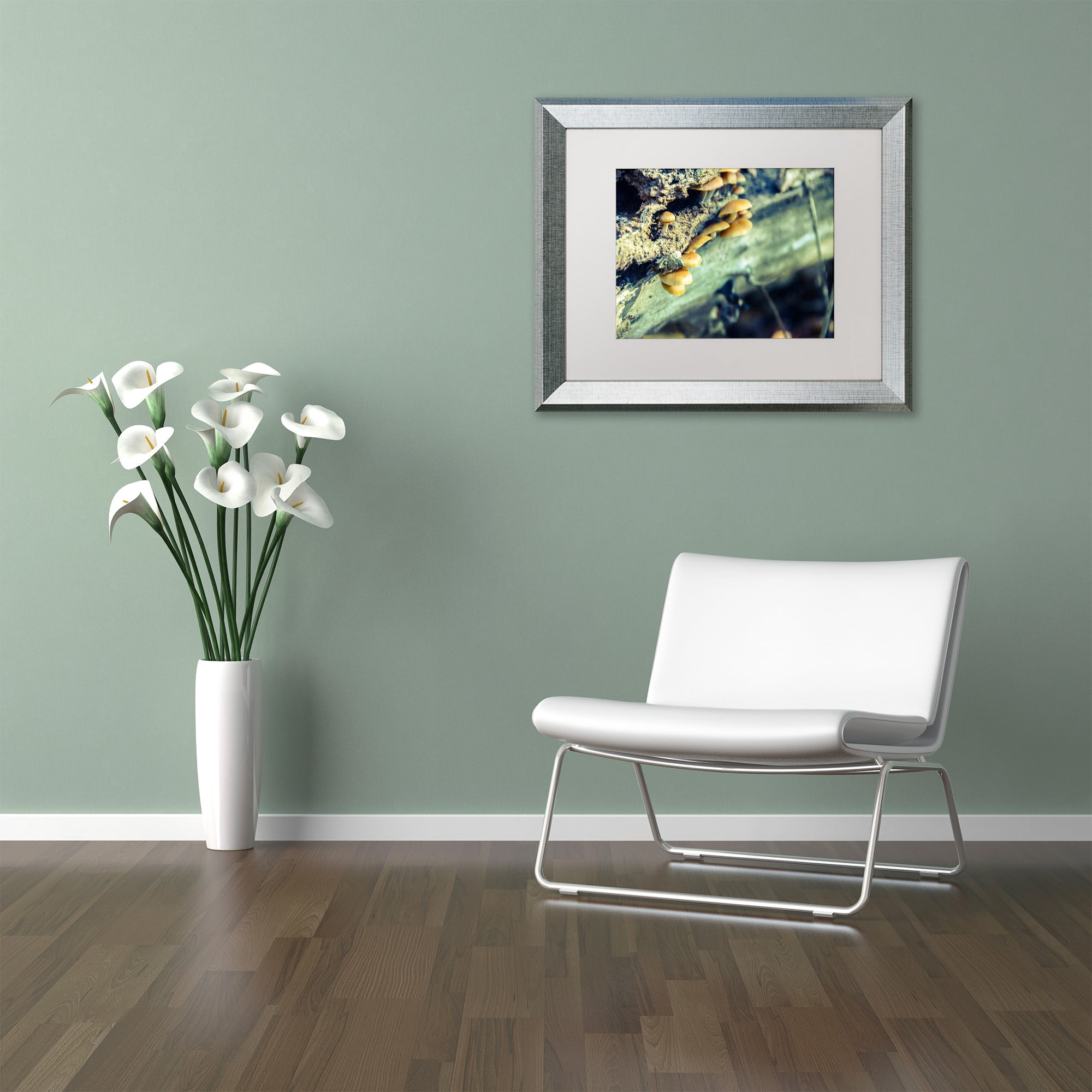 Trademark Fine Art 'Aged Mushroom' Canvas Art by PIPA Fine Art, White Matte, Silver Frame