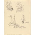 thumbnail image 2 of Robert Hills 12x14 Black Ornate Wood Framed Double Matted Museum Art Print Titled: Study of Foxgloves, 2 of 5