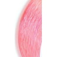 thumbnail image 3 of Ande A1-20P Premium Monofilament Fishing Line 1 lb Spool 20 lb 2400 Yards Pink, 3 of 3