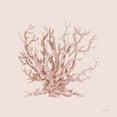 thumbnail image 2 of Jacobs, Cindy 26x26 White Modern Wood Framed Museum Art Print Titled - Pink Coral II, 2 of 4