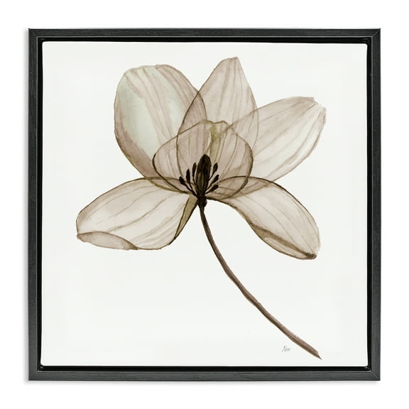 Stupell Industries Beige Opaque Blossom Plants & Flowers Painting Black Floater Framed Canvas Art Print Wall Art, 18 x 18