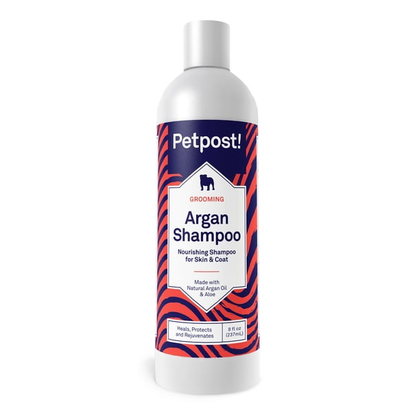 Petpost Argan Shampoo For Dogs Naturally Heals Protects Rejuvenates Dog Dry Skin Coat Argan Oil And Aloe Formula Walmart Com