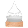 thumbnail image 1 of Storm glass, Storm Drop - Small, 1 of 3