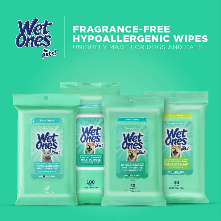 Antibacterial wipes top for dogs walmart