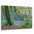 thumbnail image 2 of Epic Art 'Olympic NP Trail' by Mike Jones, Acrylic Glass Wall Art, 36"x24", 2 of 8