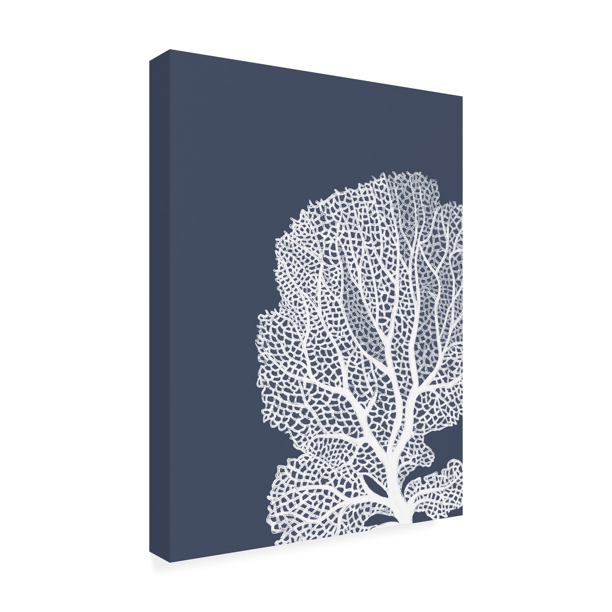 Trademark Fine Art 'Corals White on Indigo Blue b' Canvas Art by Fab Funky