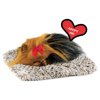Perfect Petzzz - Mini Yorkie, Stuffed Animals for Girls and Boys, Dog Toys for Kids and Elderly, Battery-Operated Live Pet Toys, Companion Realistic Dog Calming Toys with Synthetic Fur