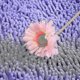 thumbnail image 2 of 40x60cm Microfiber Bath Mat Soft Comfortable Absorbent Rugs Bathroom Mats, 2 of 5