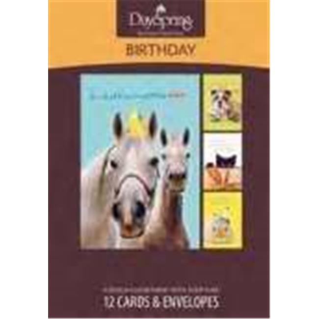 Dayspring Cards Animaux De Compagnie En Bo Te Anniversaire Humour Walmart Canada Dayspring Cards Animaux De Compagnie En Bo Te Anniversaire Humour Walmart Canada