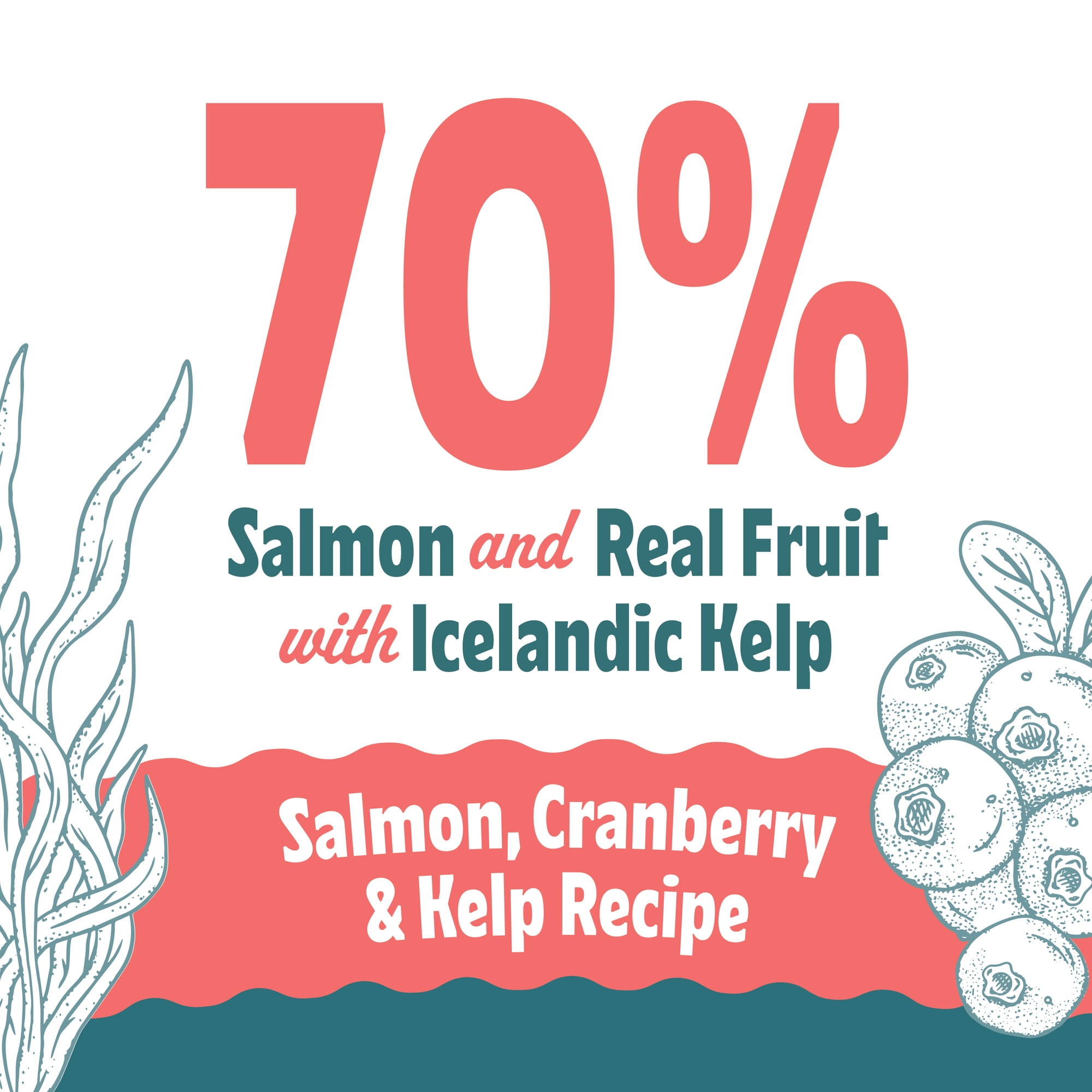 Icelandic+ Soft & Chewy Bites - Salmon, Cranberry & Kelp - 1.8oz Cat Treats, 70% Meat & Fruit, Air-Dried, Limited Ingredients, Pet Snack, Grain Free