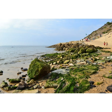 Canvas Print Beach Atlantic Coast Algae Landscape France Ocean Stretched Canvas 10 x (Best Beaches On Atlantic Coast)