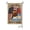 B, variant on 250 Anniversary USA Flag USA Canada Mexico Argentina United by Soccer Outdoor Yard Flag Double Sided Burlap Decorative Flag