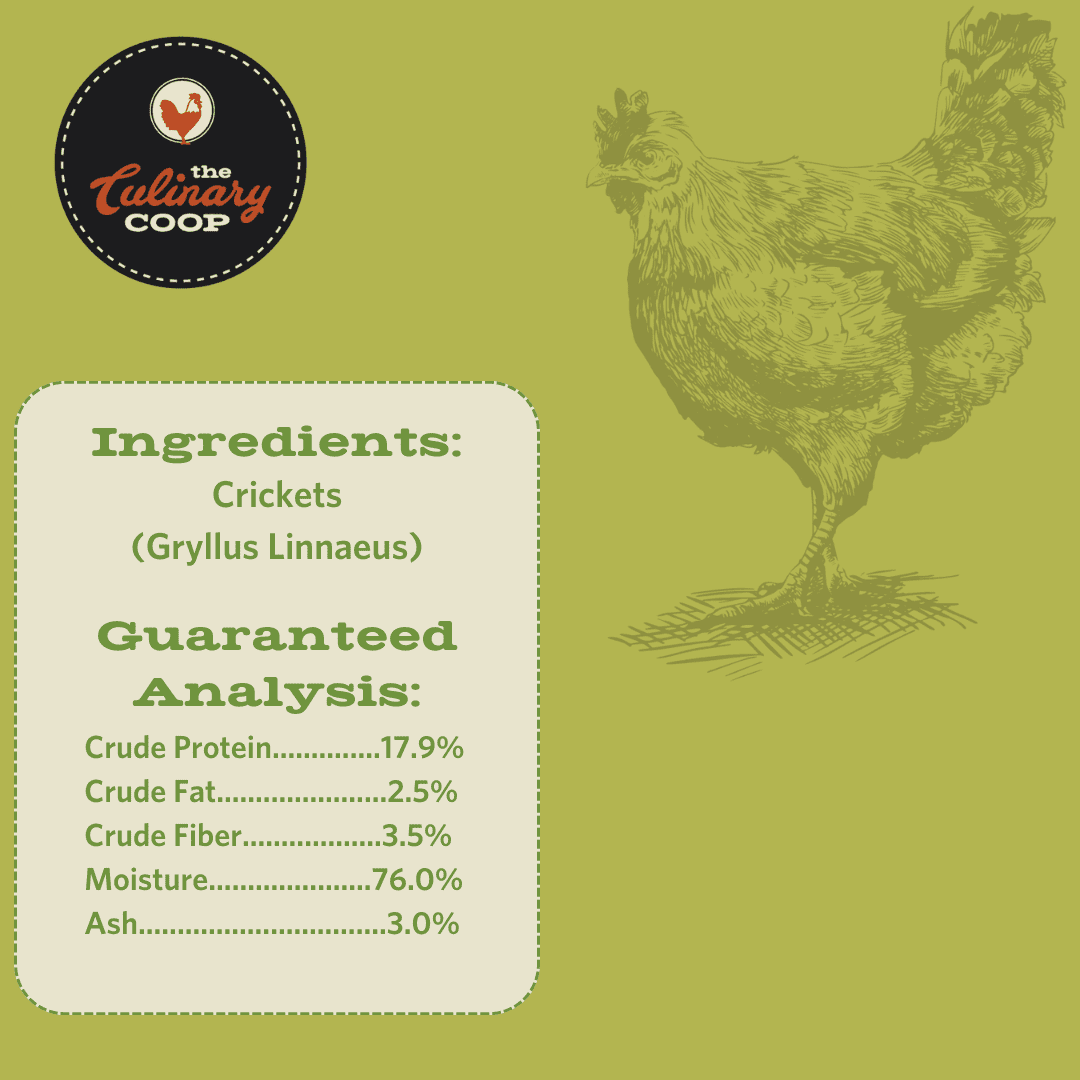 Fluker's The Culinary Coop Canned Crickets, All-Natural Chicken Treats, 2.75 oz