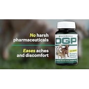 DGP for Pets All-Natural Joint Supplement for Dog Hip & Joint Support with Turmeric Boswellia Extract, Feverfew - Quick Mobility Support - 60 Chew Tabs for Pets