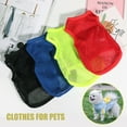 thumbnail image 2 of Plain Mesh Dog Shirt - Breathable Quick-Drying Puppy T-Shirt for Summer Comfort, 2 of 8
