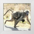 thumbnail image 3 of Dana Underdahl 4x24 White Modern Wood Framed Wall Art Titled - Safari Baboon and Baby I, 3 of 5