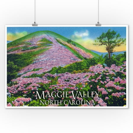 Home Decor Shops Near Me Maggie Valley, North Carolina - View of Purple Rhododendron in Bloom near Blue Ridge Parkway (9x12 Art Print, Wall Decor Travel Poster) ()