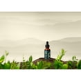 thumbnail image 6 of Gaia Herbs Lemon Balm & Ginkgo Regenerative Organic Certified Tincher 1fl oz, 6 of 11