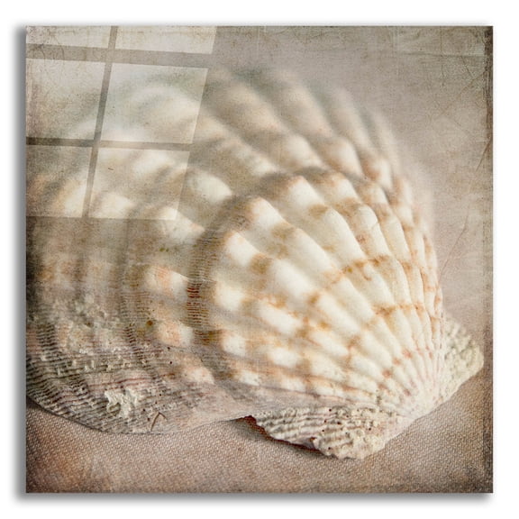 Epic Art 'Under the Sea 04' by Lightbox Journal, Acrylic Glass Wall Art, 12"x12"