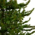 thumbnail image 5 of Nearly Natural Prelit LED Clear Lights, Pine Artificial Christmas Tree, 9', 5 of 10