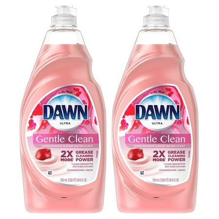 (2 Pack) Dawn Gentle Clean Dishwashing Liquid Dish Soap Pomegranate Splash 24 (The Best Dish Soap)