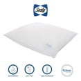 thumbnail image 1 of Almohada Sealy Fresh Tamaño estandar Color blanco, 1 of 4