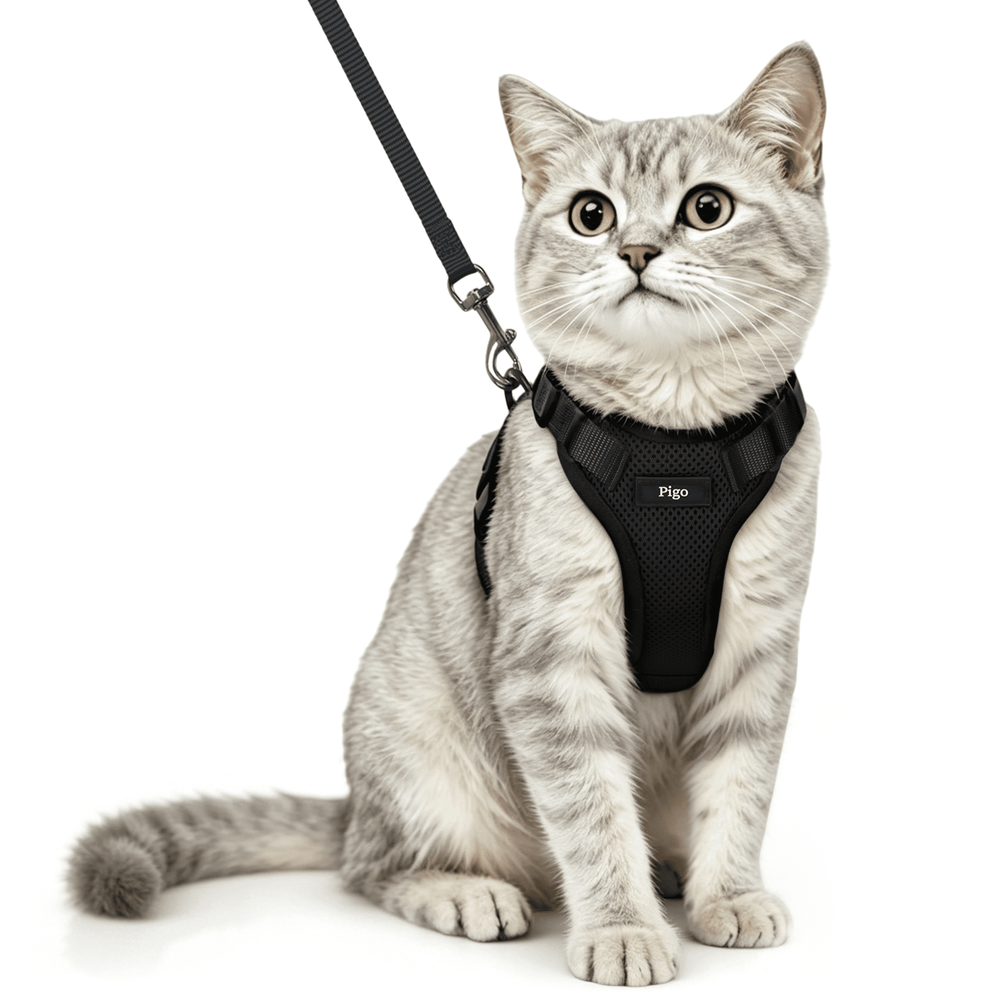 Pigo Cat Harness and Leash for Walking, Escape Proof Soft Adjustable Vest Harnesses for Cats, Easy Control Breathable Reflective Strips Jacket, Black