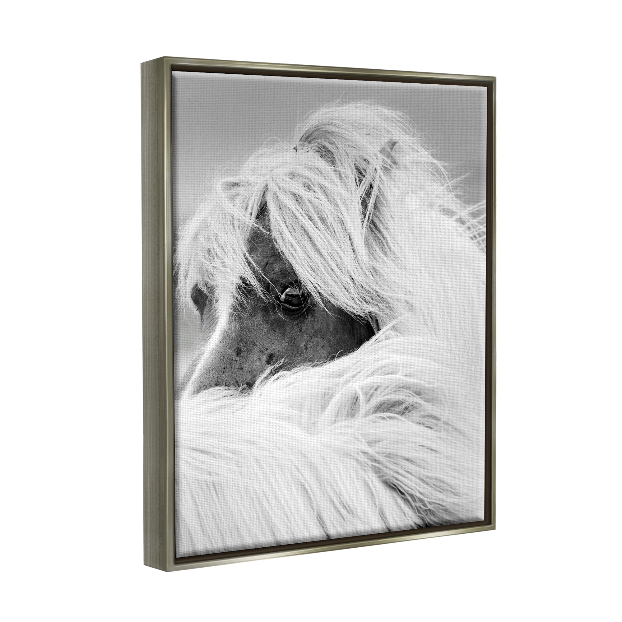 Stupell Industries Peering Horse Eyes Animals & Insects Photography Gray Floater Framed Canvas Art Print Wall Art, 17 x 21