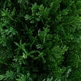 thumbnail image 3 of Nearly Natural 4ft. UV Resistant Artificial Cedar Plant with Integrated Ground Stake (Indoor/Outdoor) - Set of 2, 3 of 8