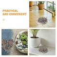 thumbnail image 3 of CRAFTHROU Multifuncionales Para Acuarios Y De Microlandscape, 3 of 8