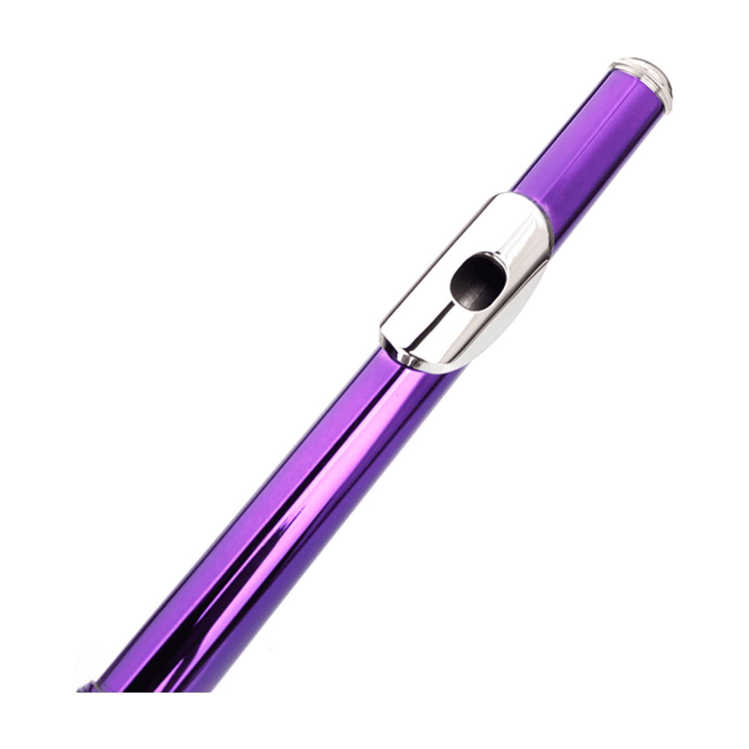 Hassch C Flute 16 Closed Hole for Beginners with Case, Cloth, Screwdriver, Lubricant and Cleaning Rod, Purple