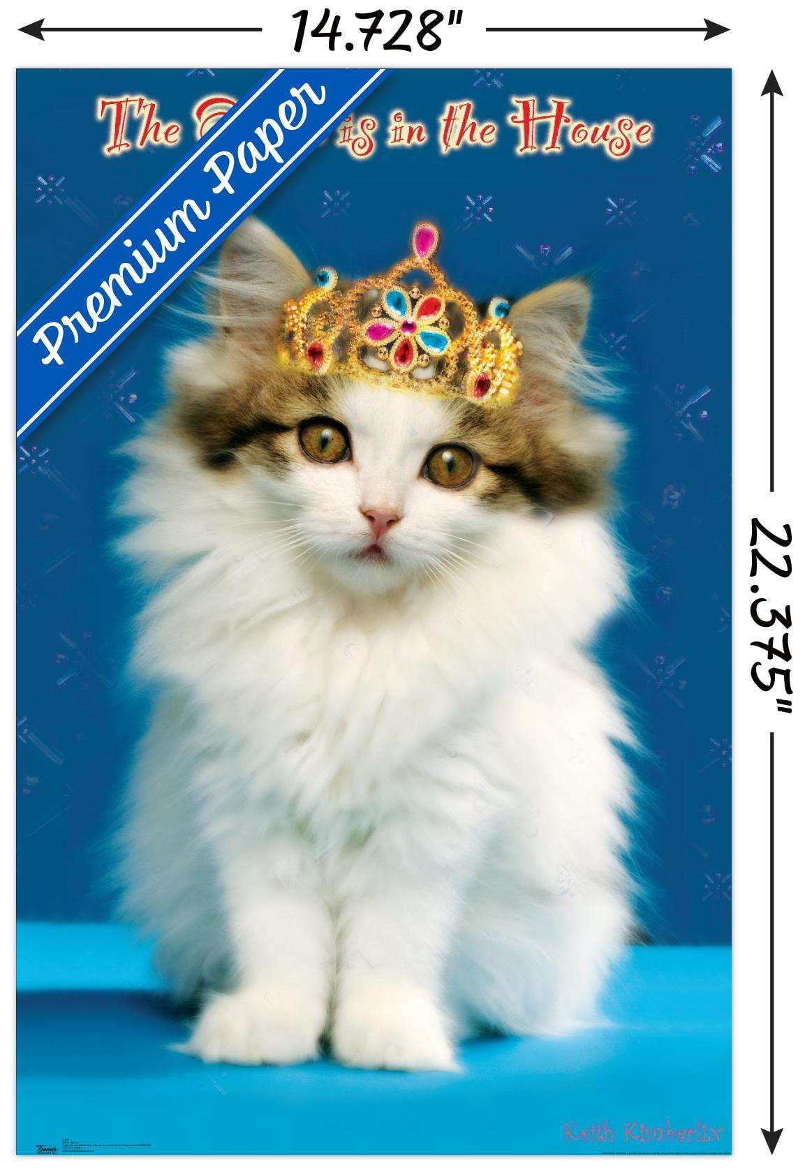 Keith Kimberlin - Kitten - Queen Wall Poster, 14.725" x 22.375"