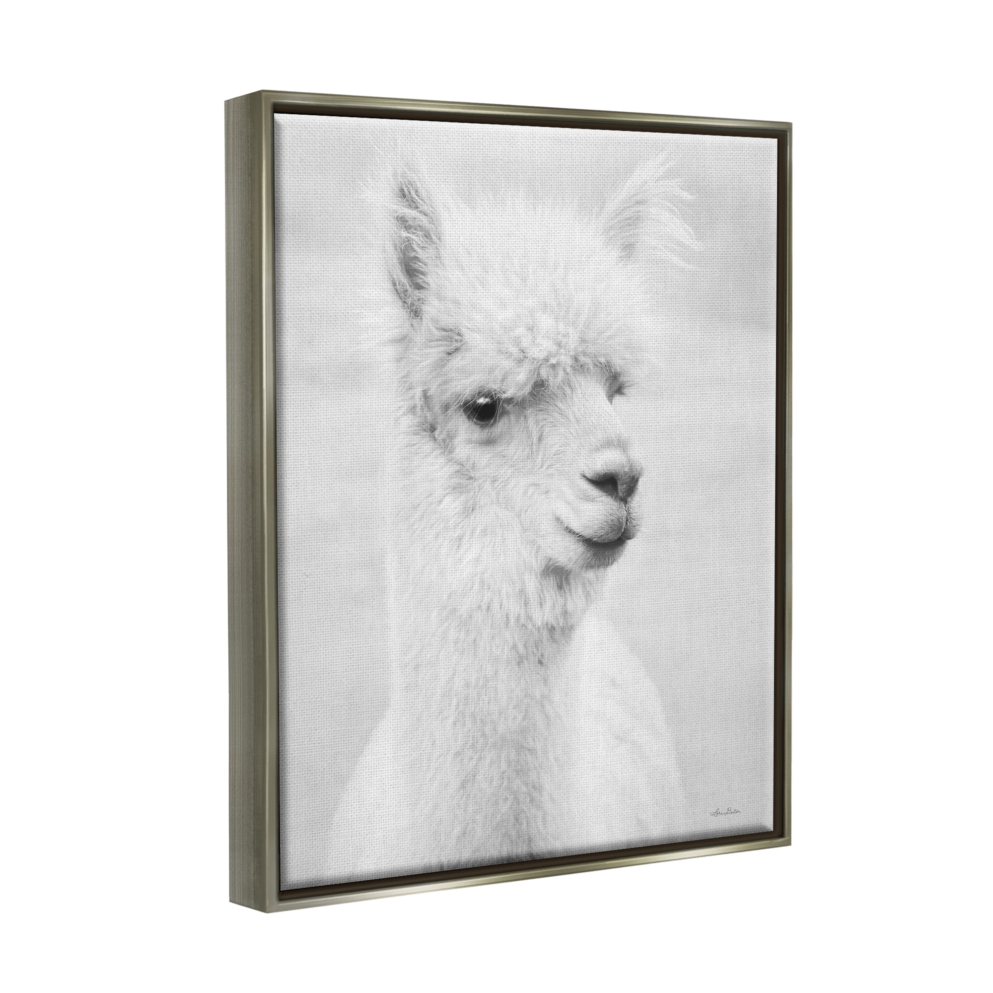 Stupell Monochrome Alpaca Farm Animal Animals & Insects Photography Gray Floater Framed Art Print Wall Art