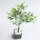 thumbnail image 3 of Mini Plant Miniature Potted Plants Bonsai Decoration Suitable 1:6 1:8 1:12 Accessories,Black, 3 of 5