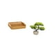 thumbnail image 5 of Cestas de almacenamiento,Cestas de almacenamiento de cocina tejidas con asas hechas a mano,Cestas de pan redondas Bandejas para servir Rectángulo,Árbol bonsái artificial,Árbol bonsái, 5 of 8