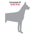 thumbnail image 2 of Correa Cadena Para Perro Grande Mas Collar De Entrenamiento., 2 of 3